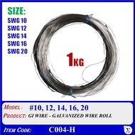 [1 KG] GALVANIZED IRON WIRE GI WIRE DAWAI JARING DAWAI BESI #8 - #20 (C004-H10 C004-H12 C004-H14 C00