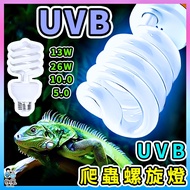 Taiwan [UVB Calcium Supplement Bulb] UVB Bulb Turtle Back Light Reptile Ultraviolet Succulent Plant