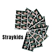 [READYSTOCK] Kpop STRAYKIDS Oddinary Hd Id Photo passport photocard album no easy go live hyunjin ha