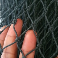 Bestseller 2Mm Pp Container Net Size. 2.4M X 2.4M - Per Square Meter