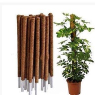 Batang Sabut Pokok Menjalar COCO STICK / POKOK MENJALAR / BATANG SABUT / COCOPEAT COIR STICK / PLANT