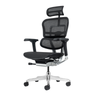 AM Office Ergohuman Elite 2 Ergonomic Chair Mesh Chair
