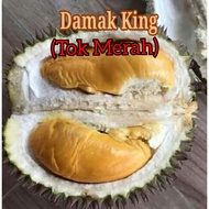 ANAK POKOK DURIAN TOK MERAH (DAMAK KING) SUPER RARE