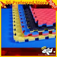 Taekwondo Mats Dance Martial Arts Sanda Thickening Training Special Foam Kindergarten Mat 1 M by 1 M