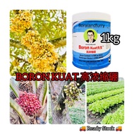 Uncle William Biotech Boron Kuat 先生 Concentrated Boron 高浓缩硼 1kg Boron Fertilizer Boron Supplement For Plant Baja Foliar Boron Pokok Durian Lekat Bunga Lebat Buah 开花结果肥水