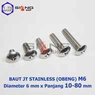JT Stainless M6 Bolts 10 to 80mm long