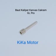 Honda GL Pro Disc Canvas Caliper Bolts