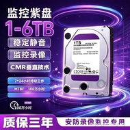Monitoring Dedicated Purple Disk Vertical Disk Video Recorder Hard Disk 1T 2T 3T Hard Disk 12cm Secu