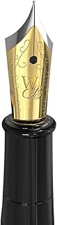 Erudite - Medium Nib (Black section Gold trim) -1pc Poly bag packaging