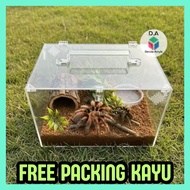 Decide Acrylic Acrylic Reptile Cage | Hamster Hamster | Tarantula | Gecko Gecko | Size 30x20x20 | Ca