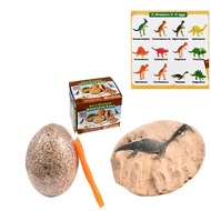 [Adopt A Method] ไข่ Dino Excavation ชุด12ไดโนเสาร์ Fossil Dig Up ชุดโบราณคดีวิทยาศาสตร์ของขวัญสไตล์: Single Pack สไตล์สุ่ม1【cod】【fast】