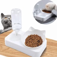 Places To Eat Dog Cats / Pet Bowl Automatic Water Flow-Size S