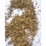 Sweet Fennel Jeramaneh/ Fennel/