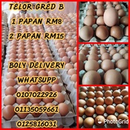 TELUR AYAM GRED B - 1 PAPAN ( COD & SELF PICKUP )