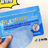 Cross-Border France Imported FLOPHY Armpit Patch 10 Patches/Pack Underarm Out Sweat Body Odor Pharma
