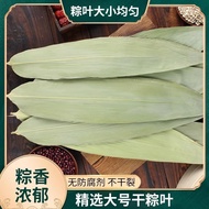 Dragon Boat Festival Rice Dumpling Leaves Dried Rice Dumpling Leaves Large Size Rice Dumpling Leaves
