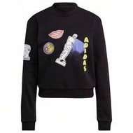 Women's Oversized Casual Comfortable Loose Pullover Sweatshirt GN4376