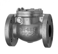KITZ Cast iron Swing Check Valve A126CL.B 125 Psi. Flanged 2-1/2 Inch. Model. 125FCO