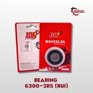 BEARING 6300-2RS RUI [RETAIL] - BALL BEARING LAHER LAKER 2RS