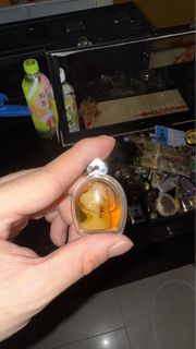 古巴旁蝕 隨祝老人