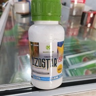 Termurah !!! Fungisida AZOSTAR 250 SC Basmi penyakit pada tanaman padi
