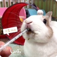 Wei He Ma-Pet Feeder/Feeder-Small Stick 1cc (Rabbit Guinea Pig Chinchilla Feeding Grass Powder)