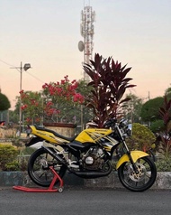 STRIPING STIKER LIST NINJA SS TAHUN 2013 KUNING NINJA SS KUNING 2013