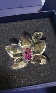 Swarovski Crystal Orchid Blossom in the Secret Garden#864464