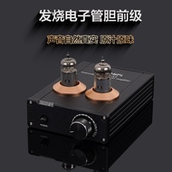 [Chaoyu] BRZHIFI Fever Tube Gallbladder Preamp TPA-6A2 Front Audio Amplifier Active Speaker Power Am