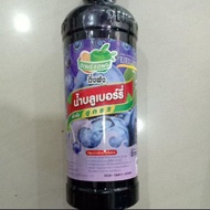 💥 READY STOCK 💥 DING FONG KORDIAL THAILAND