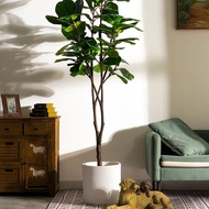 ⚖Large Simulation Ficus Lyrata Green Plant Fake Trees Floor Bonsai Indoor Living Room Landscapin ⋌~