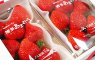 【預購！風靡日本全國--福岡甘王草莓 原裝箱(2小盒)】甜中帶點微酸 香氣濃郁