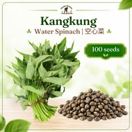 "TG Water Spinach (Kangkung) Seeds / Biji Benih Kangkung / 空心菜 种子 100± Seeds kangkung seed premium b