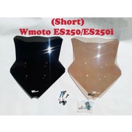 WMoto ES250i/ES250 wind shield