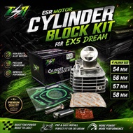 ESR MOTOR CYLINDER BLOCK KIT – HONDA EX5 DREAM