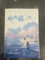 偷偷藏不住小說
