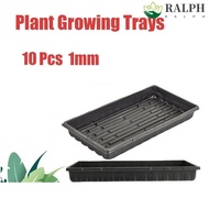 RALPH 10Pcs Plant Growing Trays, Plastic No Holes Seed Propagation Tray, Sprout Hydroponic Systems 550x285x60mm Durable Reusable Nursery Potted Seedling Trays Indoor Gardening