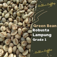 green bean / Biji kopi robusta Lampung 1 kg - Biji Kopi Mentah