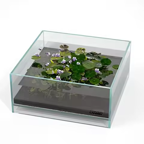 Aquarium Tank Multi-Scene Landscape Aquarium 1.6Gallon Rimless Low Iron Tank 10.63" W×10.63" D×4.72"