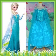 Elsa Frozen Princess Costume Elsa Frozen deluxe
