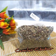 Basil leaves dried basil leaves repack 50gr