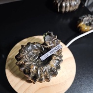 CRYSTAL AMMONITE Madagascar Rough HQ GENUINE STONE