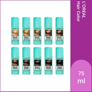 Magic Retouch Instant Colour Spray / Concealer (For Grey Hair Coverage), 75ml
