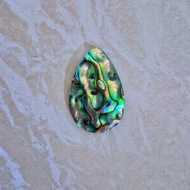 Páua Abalone Shell Pendant Abalone Tile Shell Abalone Leather Abalone Shell Abalone Paua Abalone