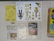 聖鬥士星矢 大糸 雙魚座