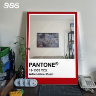 Aesthetic Mirror Glass Frame Pantone Adrenaline Rush Mirror/ Aesthetic Mirror/ 90s Room Decor