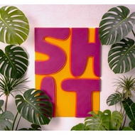 LUUS -SHIT Painting | 3D Printed Resin Painting, Dopamine Decor