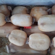 AKAR TERATAI/LOTUS ROOT PREMIUM