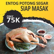 Entok Potong Fresh Daging Entog Bebek Entok Nila Potong Atau Hidup