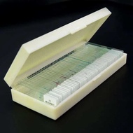 Prepared Glass Slides Biological Microscope Slides Specimen Slides For Science Education Learning